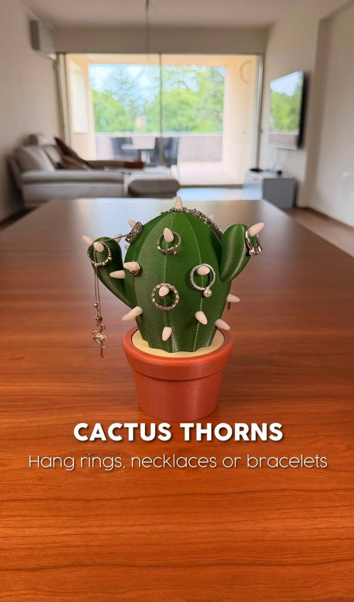 CACTICHARM – Cactus Jewelry Holder & Hidden Storage Organizer