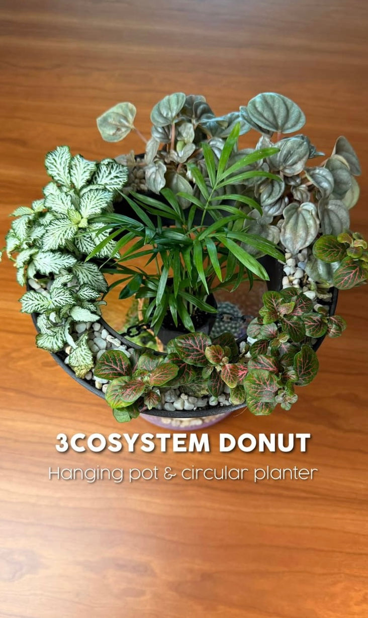 3COSYSTEM™ – Modular 3-Tier Terrarium Planter